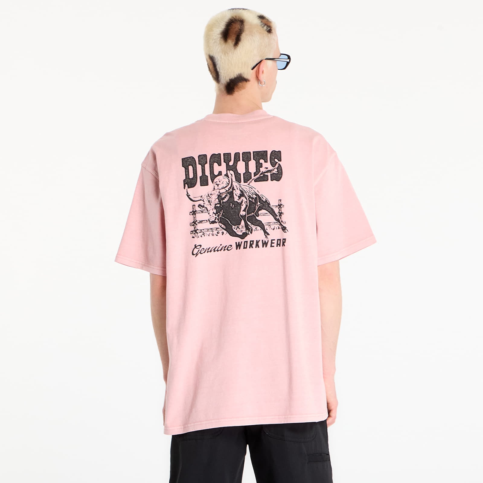 Meeste T-särgid Dickies Buchtell Short Sleeve Tee Bridal Rose