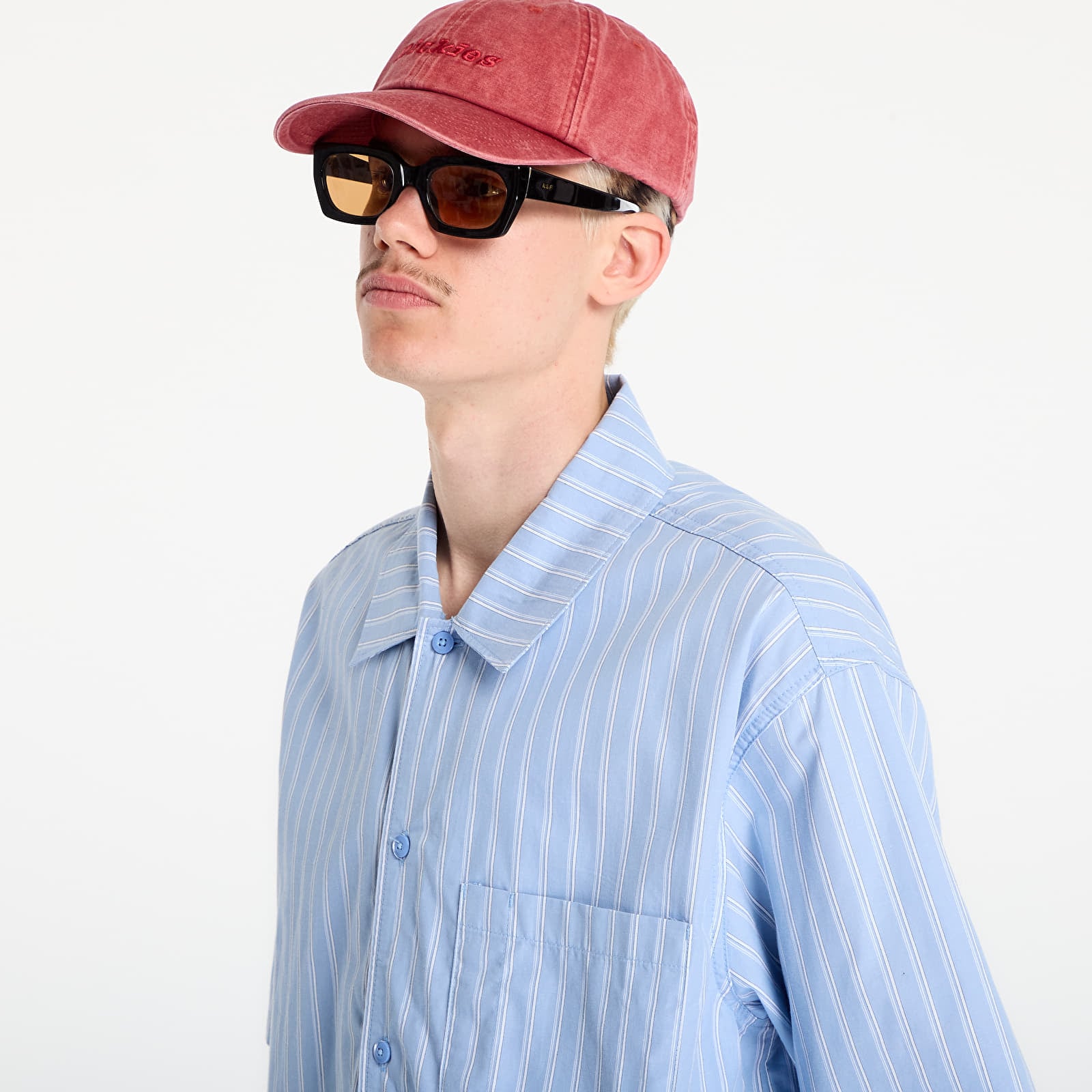 Meeste särgid Dickies Venedocia Stripe Shirt Short Sleeve Endless