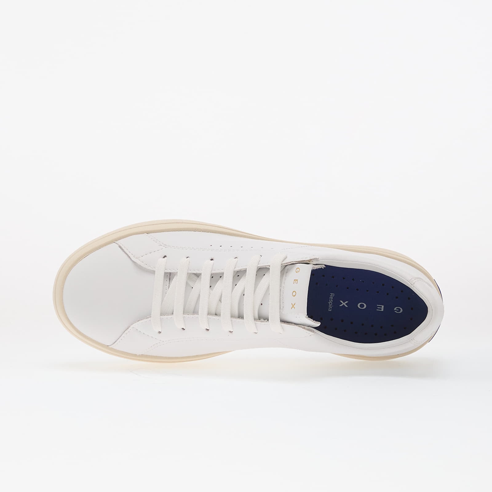 Sneakers og sko til kvinder Geox Gxcp-03 White