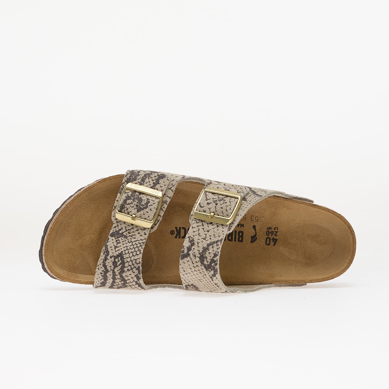 Buty damskie Birkenstock Arizona Print LEVE Snake Oyster