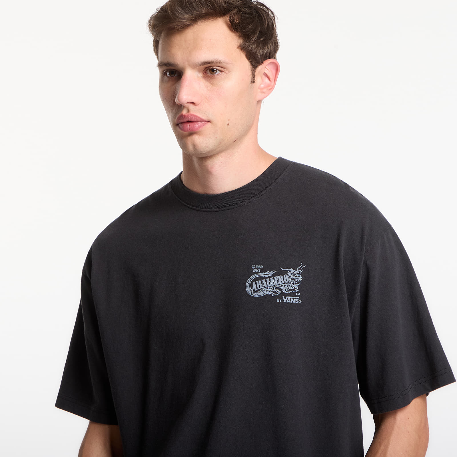 T-shirts  Vans Caballero SS Tee Black