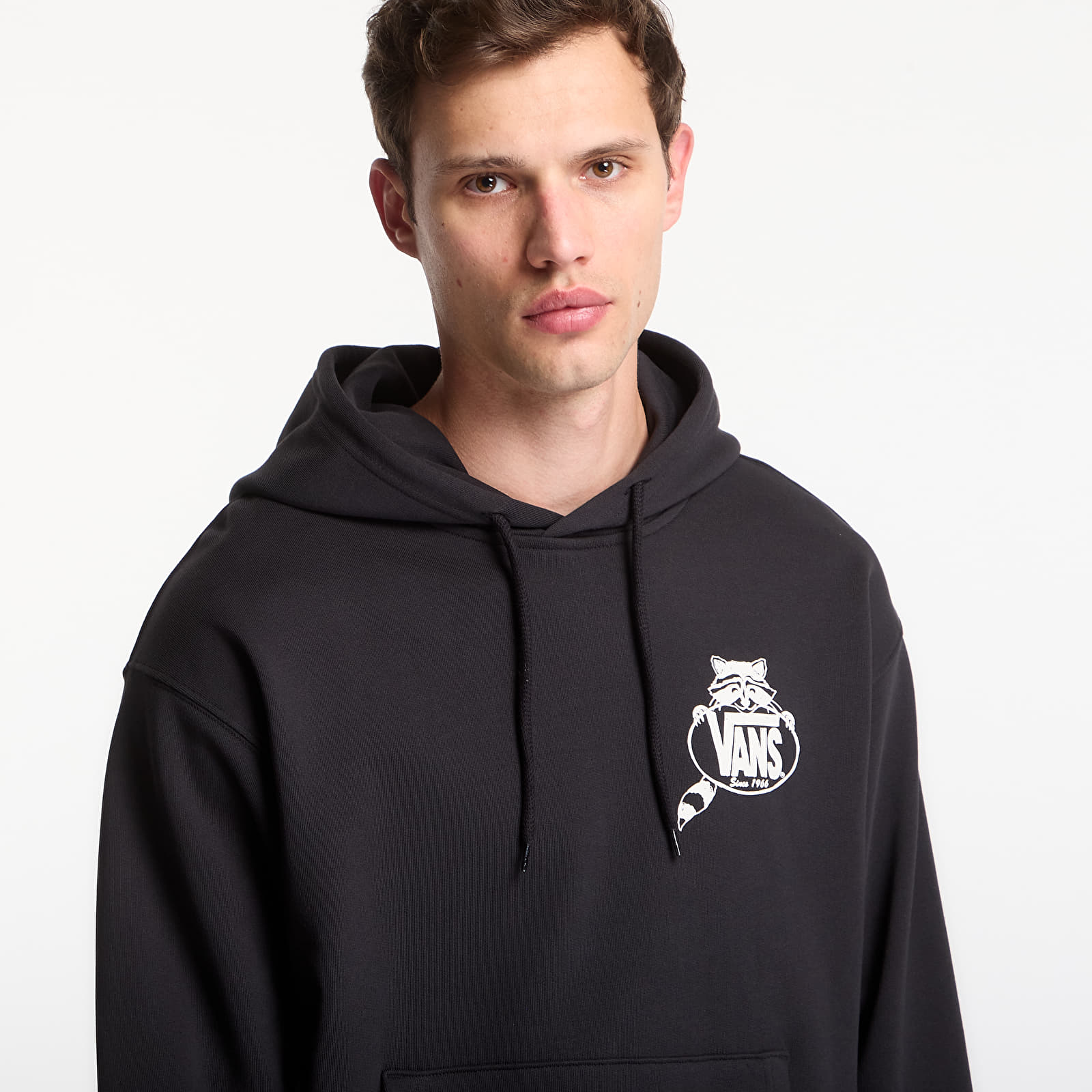 Hoodies and sweatshirts  Vans Trashy Pullover Black