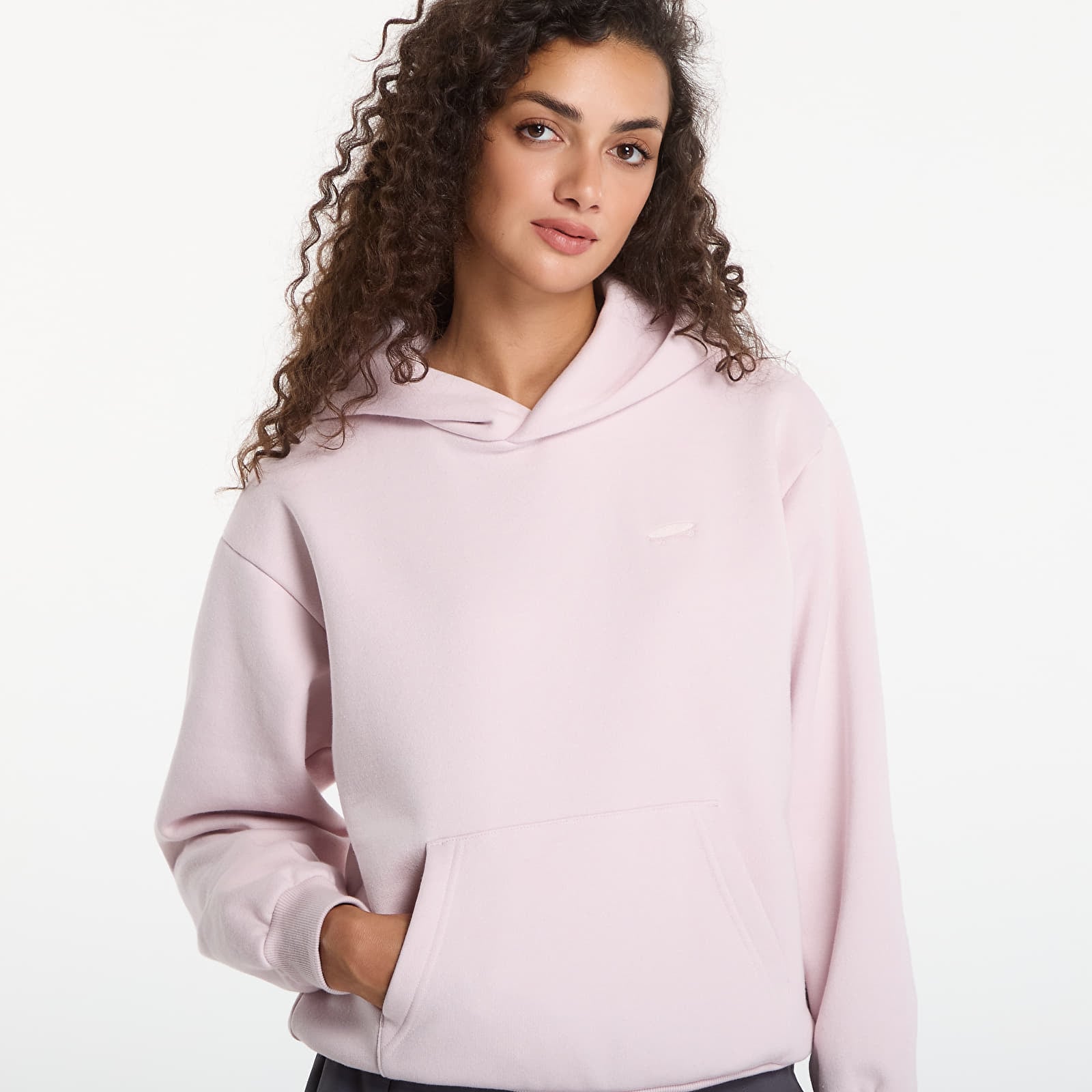 Mikiny Vans Salton Pullover Hoodie Pale Petal