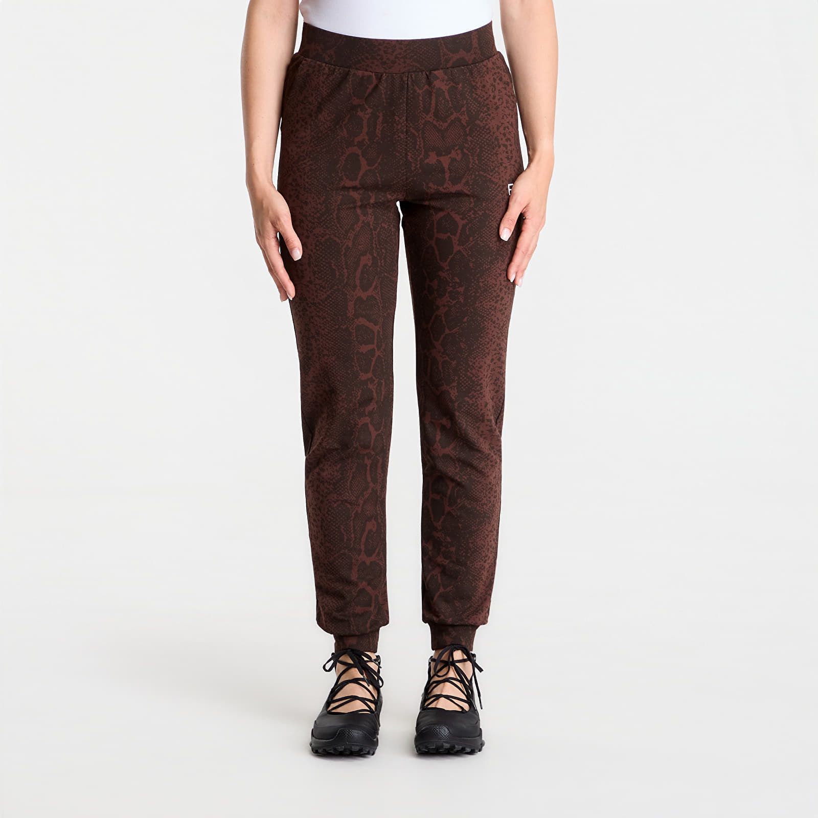 Trenirka hlače  EA7 Emporio Armani Train Graphics Series W Pants Fancy Chicory Coffee