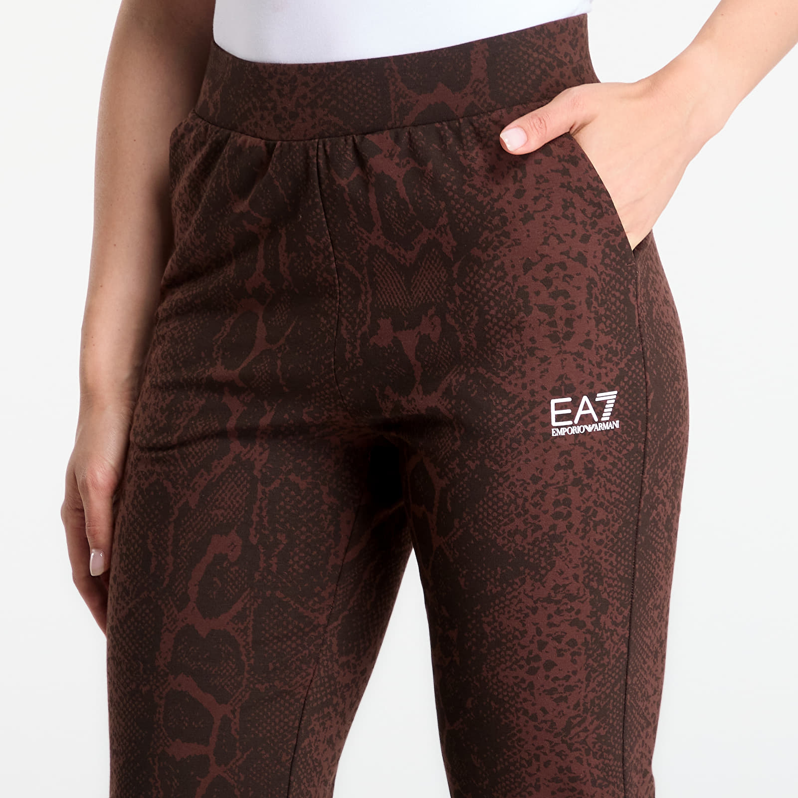 Trenirka hlače  EA7 Emporio Armani Train Graphics Series W Pants Fancy Chicory Coffee