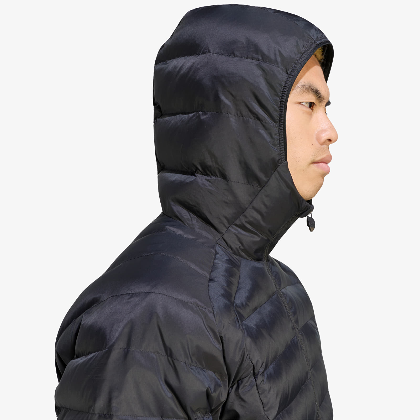 Men's jackets adidas Teamgeist Jacket Black