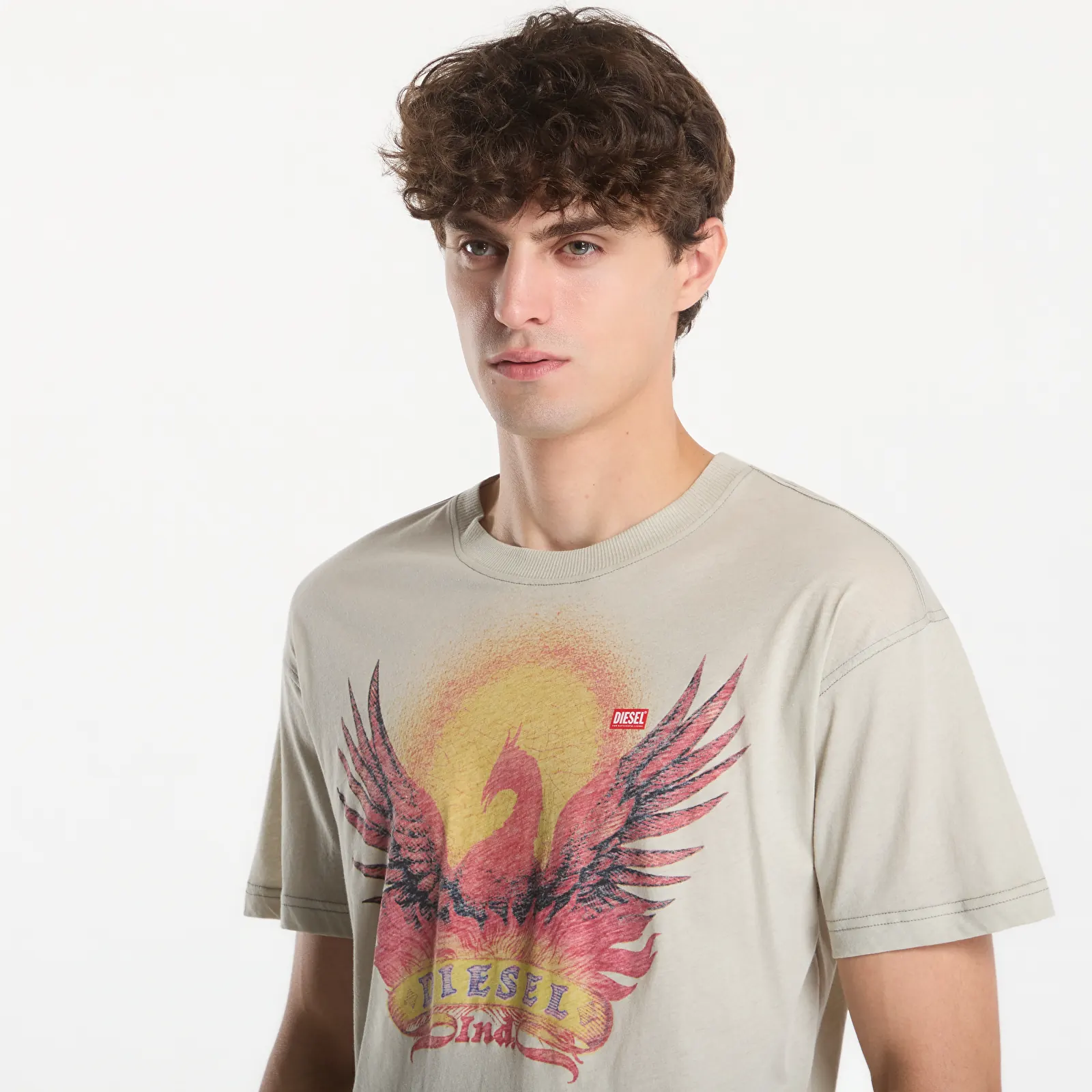 Heren T-shirts Diesel T-Norm-Aa1 T-Shirt Aluminum
