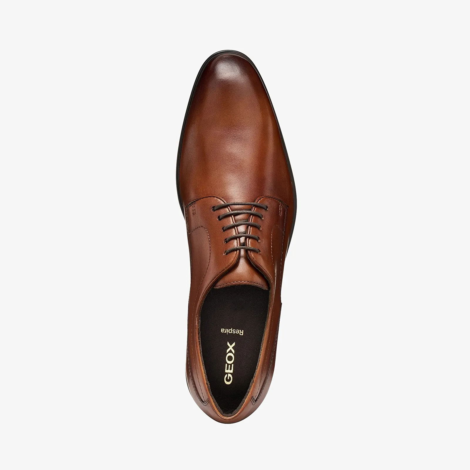 Sneakers voor heren Geox Thalos Brown