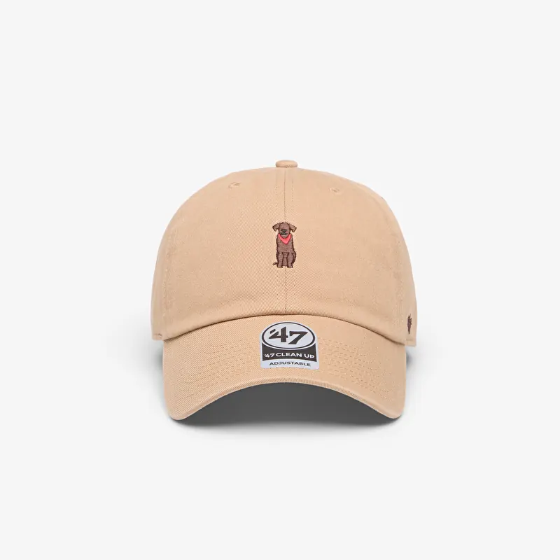 Gorra '47 Brand Clean Up Dog Base Runner Icon Cap Beige