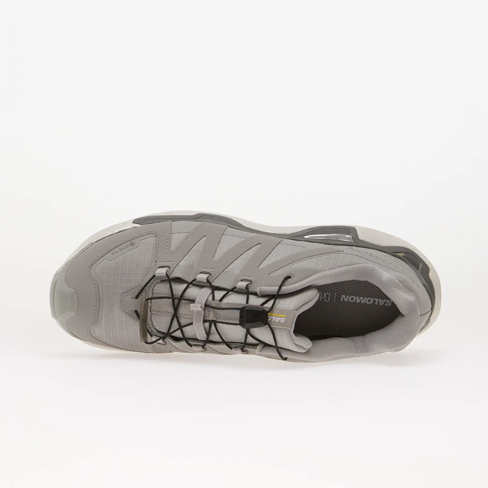 Чоловічі кросівки Salomon XC Roam GTX Alloy/ Alloy/ Castlerock