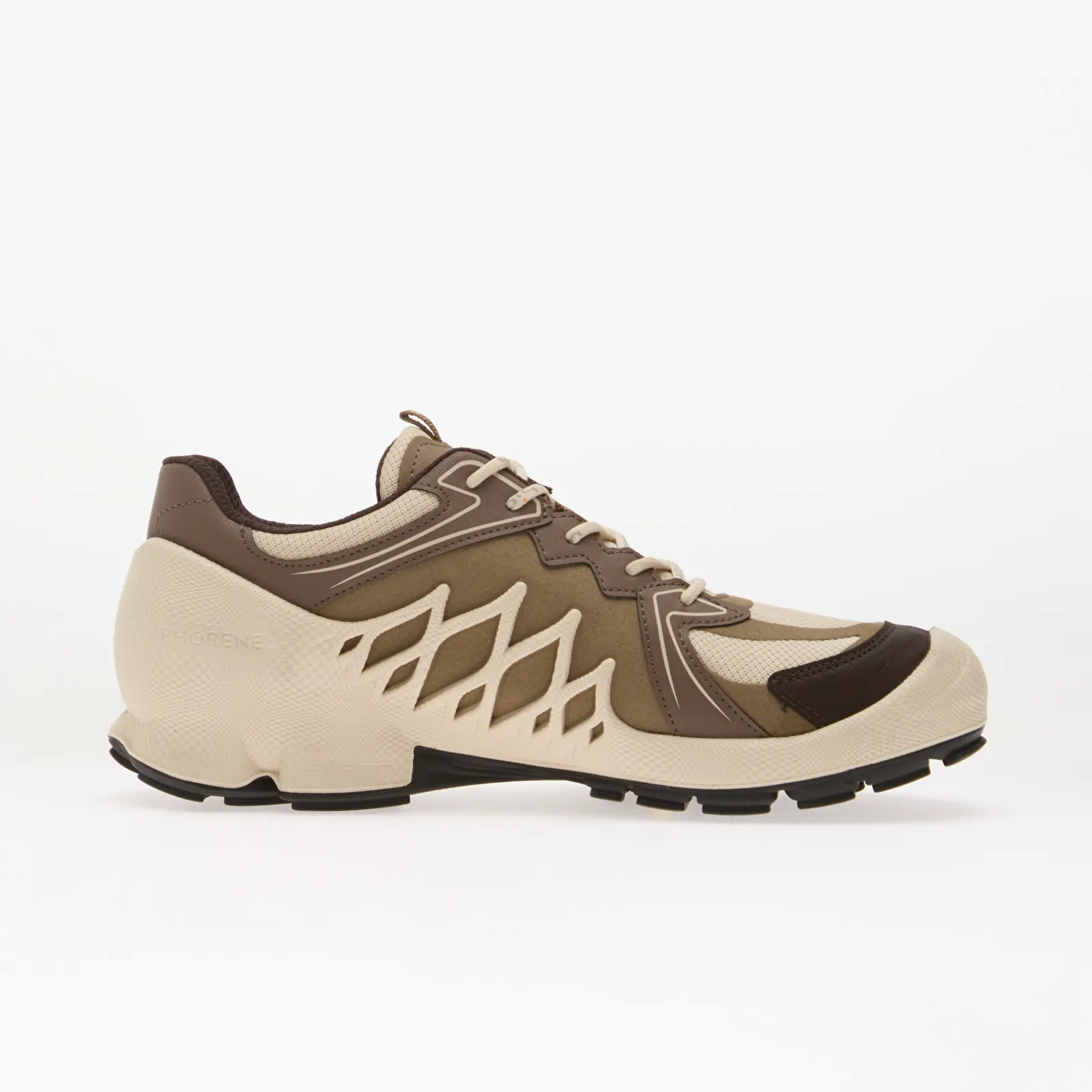 Sneakers til kvinder ECCO Biom Aex W GTX Mocha