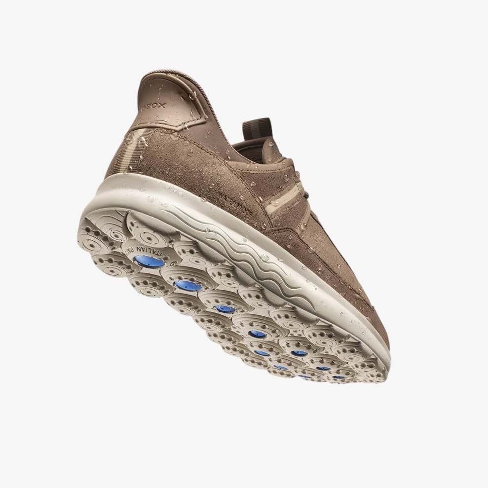 Férfi sneakerek Geox Spherica Plus Wpf Dark Brown