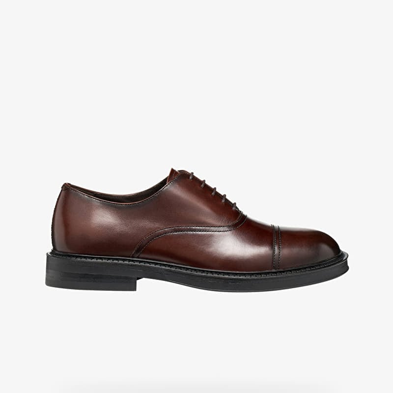 Geox Bexford Brown