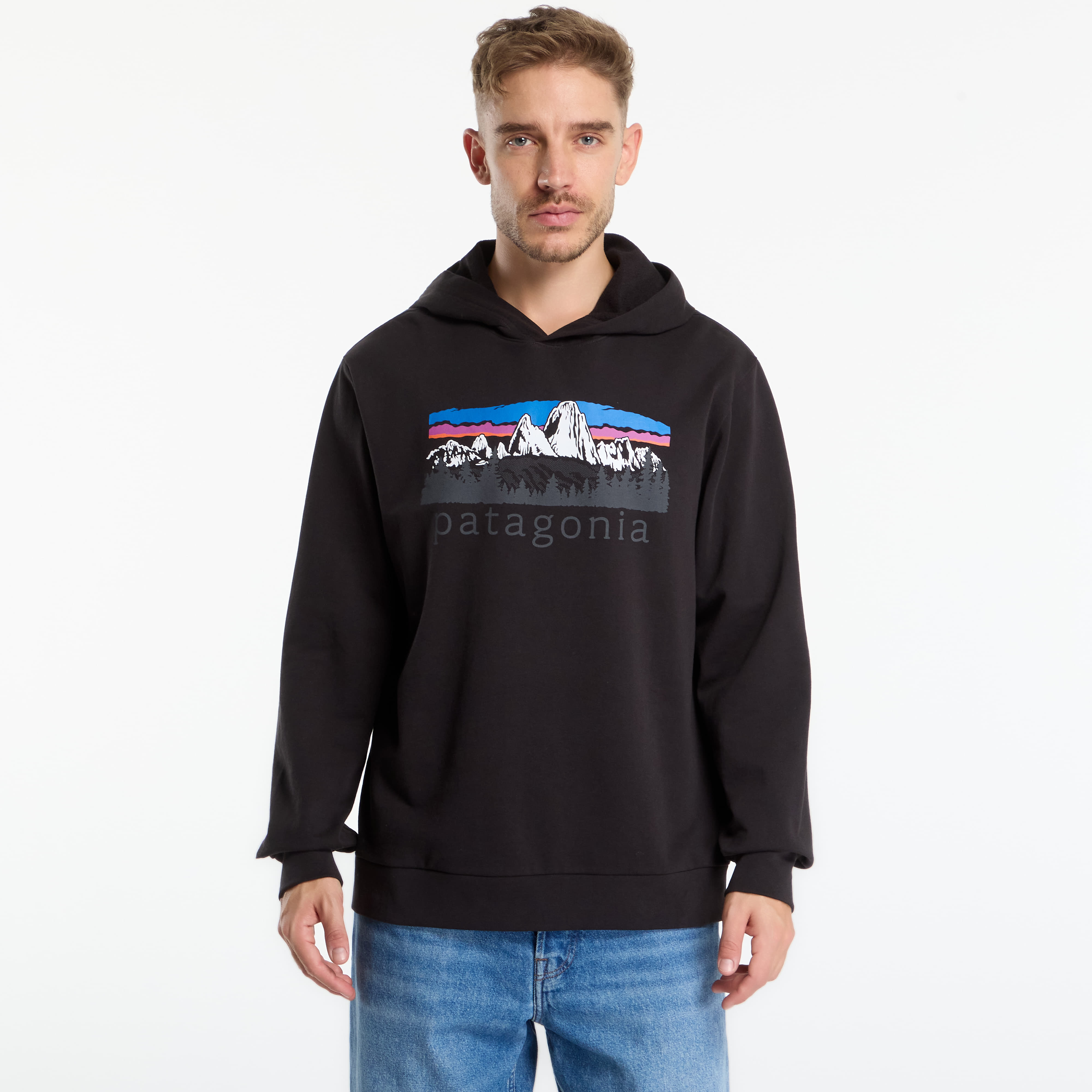 Суитшърт Patagonia Fitz Roy Foothills Daily Hoody Black L