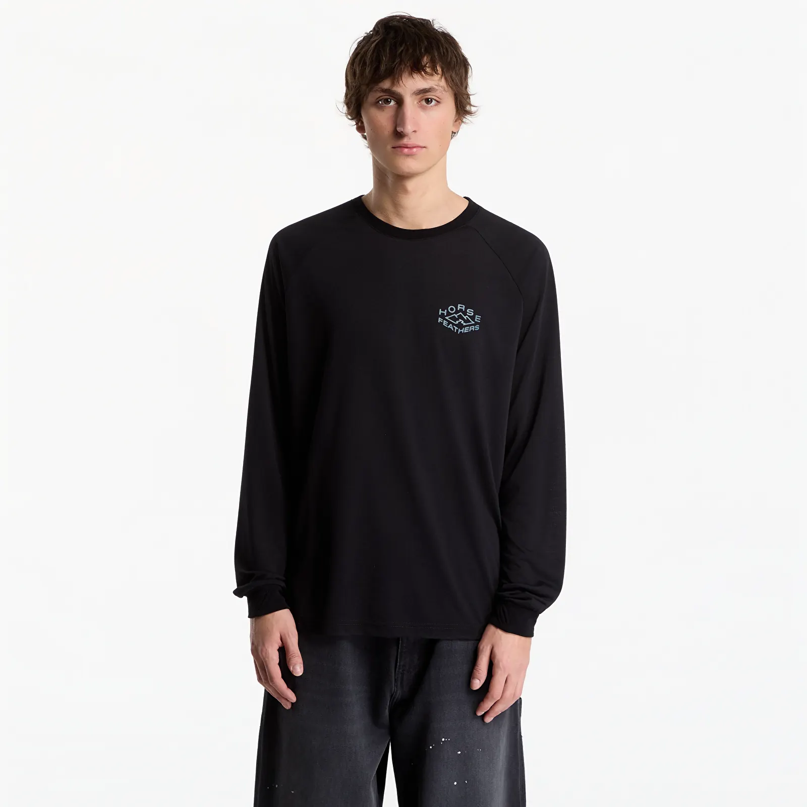 Heren T-shirts Horsefeathers Shank Ls T-Shirt Black