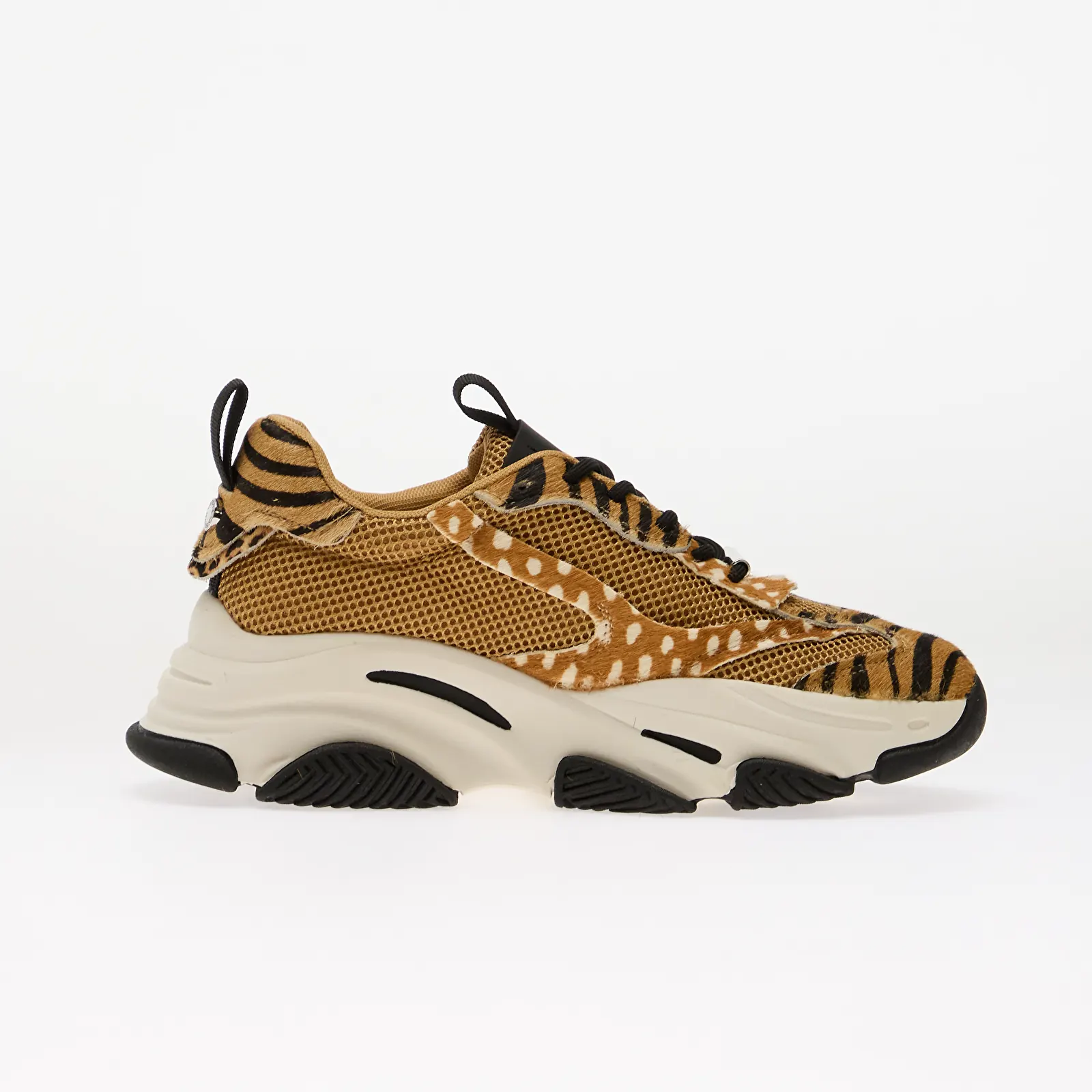 Sieviešu čības Steve Madden PossessionL-E Animal Multi